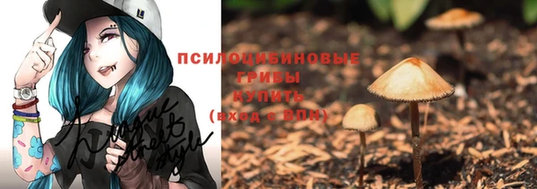 крисы Балахна